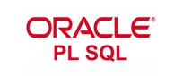 Oracle PL SQL